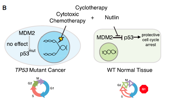 NBA2K盘口突变，业内人士深度分析的简单介绍