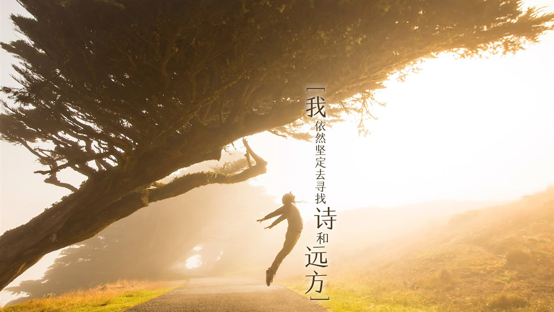 冰球基因燃烧绿茵场,从加拿大的绞杀战到戈麦斯的冠军接管