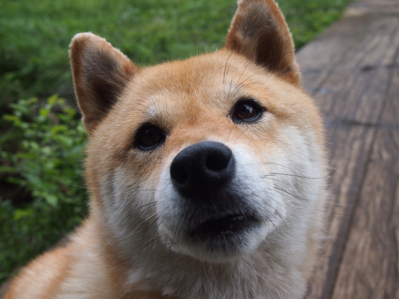 开云体育app-斯德哥尔摩的闪电与狂沙，一场定义不可能的绝杀