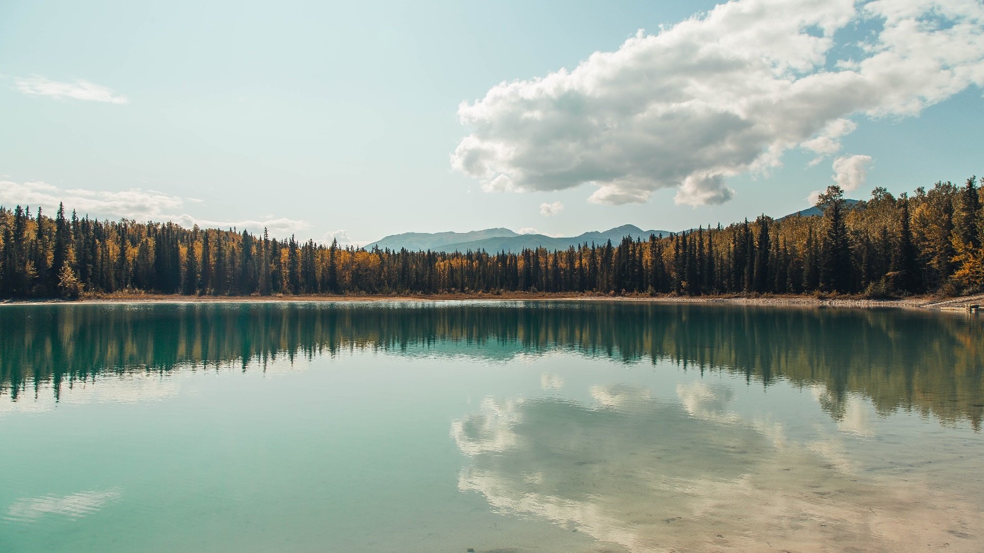 哈弗茨的奇幻之夜,当多特蒙德遇见南非,数据如何全面爆炸?