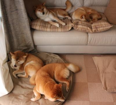 开云体育登录-撕裂火箭防线，告别阴霾！莫兰特疾风暴雨式爆发引领灰熊关键突围