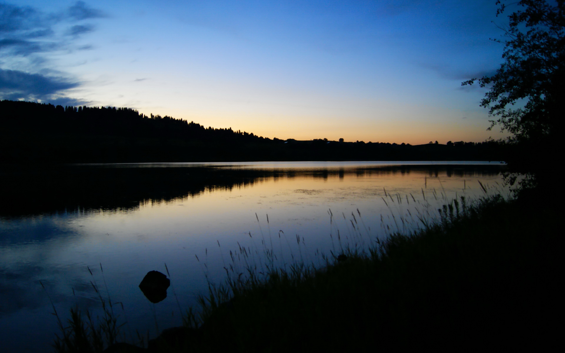 穆勒利刃出鞘，巴黎斩落药厂！欧冠之夜，谁在悬崖边起舞？