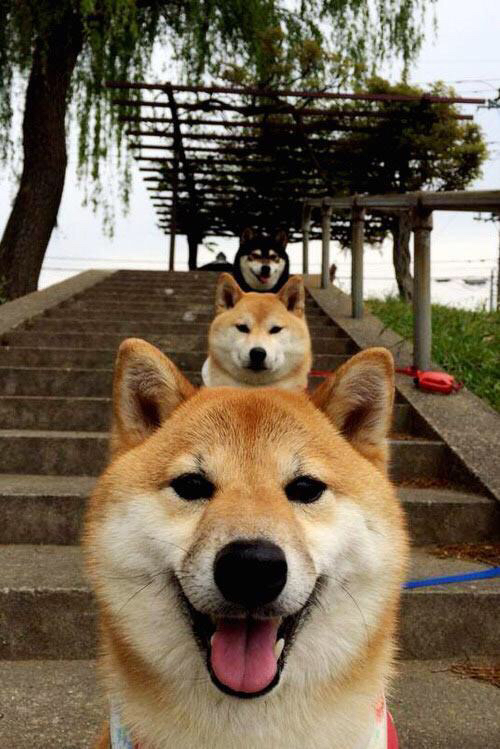 真正的突尼斯对局,当全场最佳并非胜负,而是亚洲足球的镜中之影