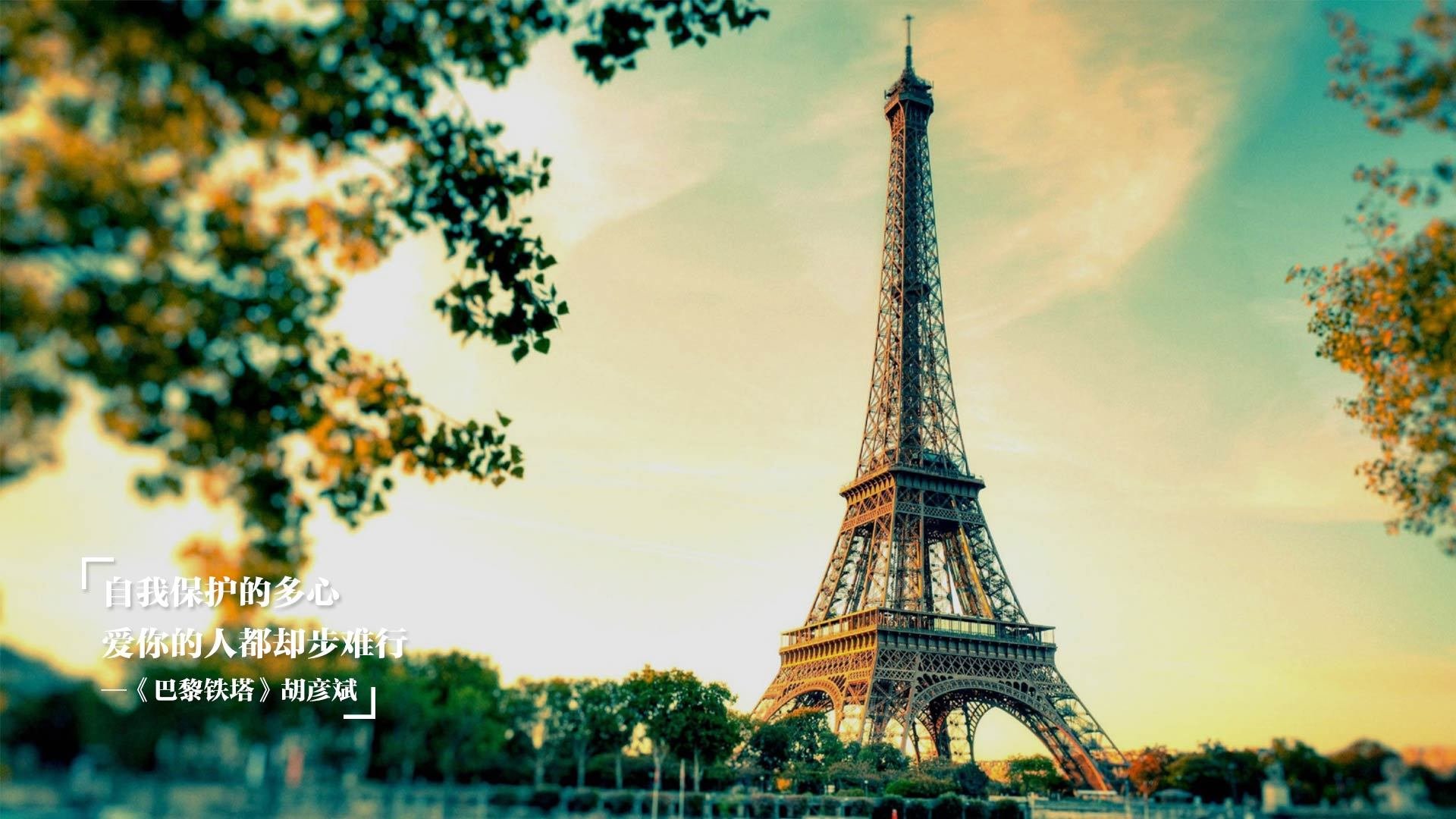 黄蜂客场力克新疆,锡安德甲决赛演绎王者归来