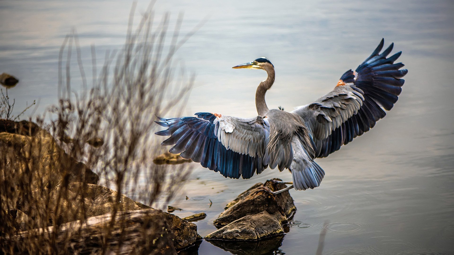 烽火连城,晋沪鏖战,一场打破常规赛桎梏的破局之争