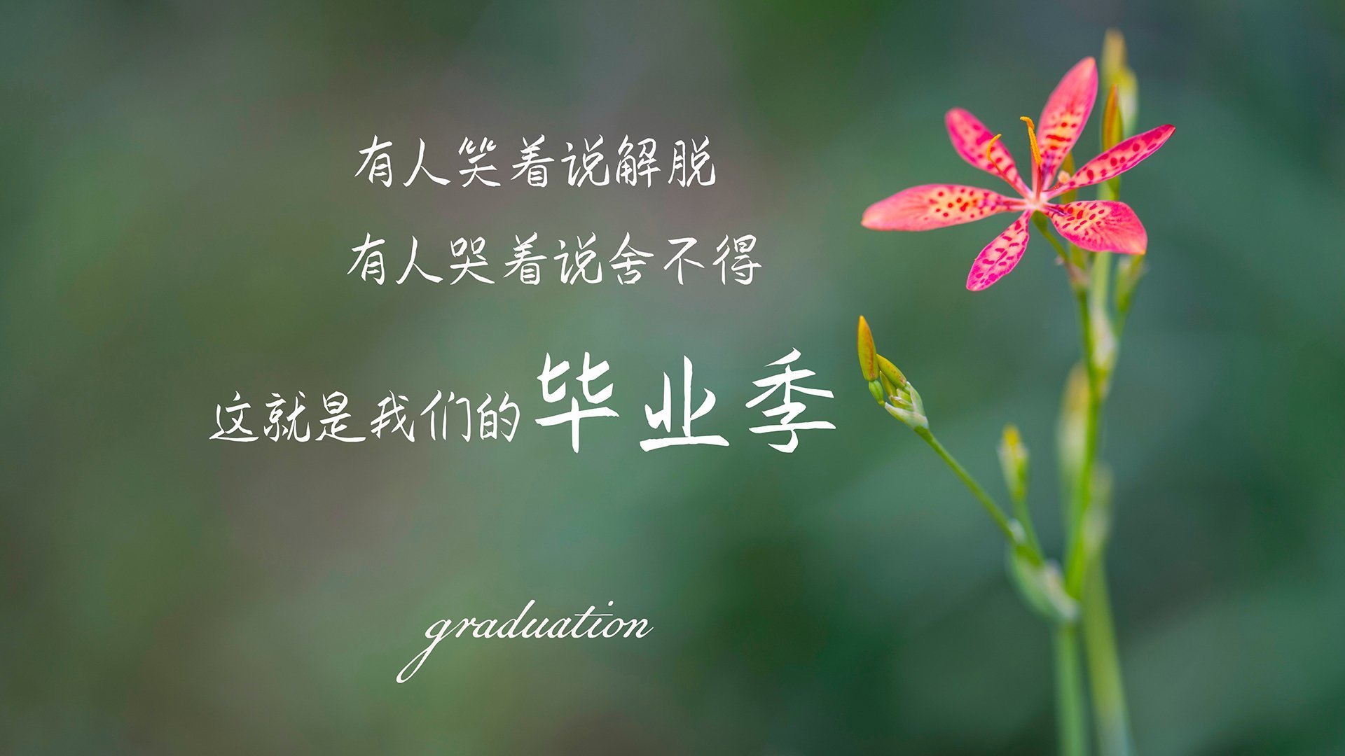 罗德里戈爆发点燃克罗地亚进攻,连续得分战术彻底压制冰岛