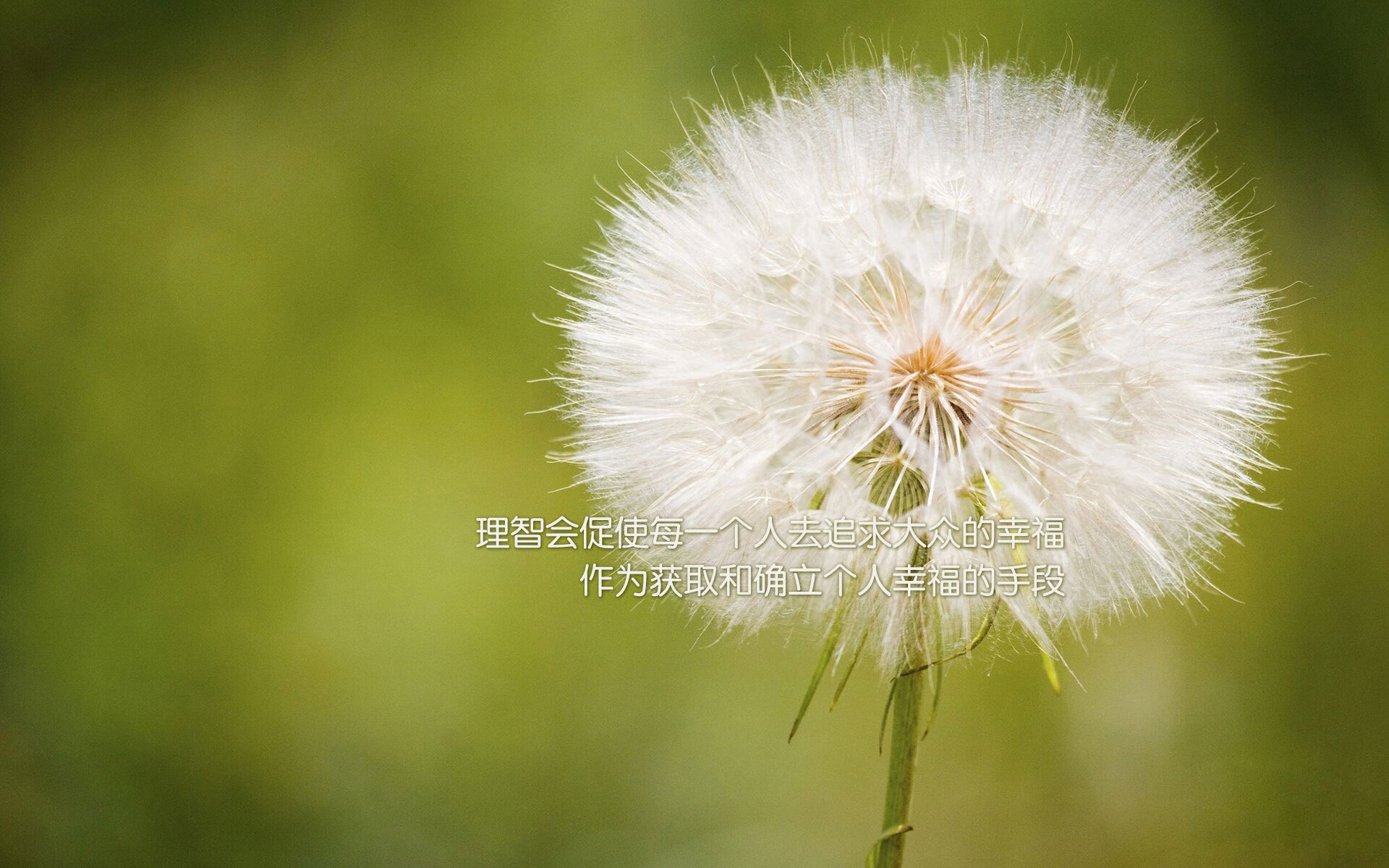 沙漠风暴与高卢雄鸡，2026世界杯E组暗夜双杀，伊拉克血洗波兰，姆巴佩一剑封喉