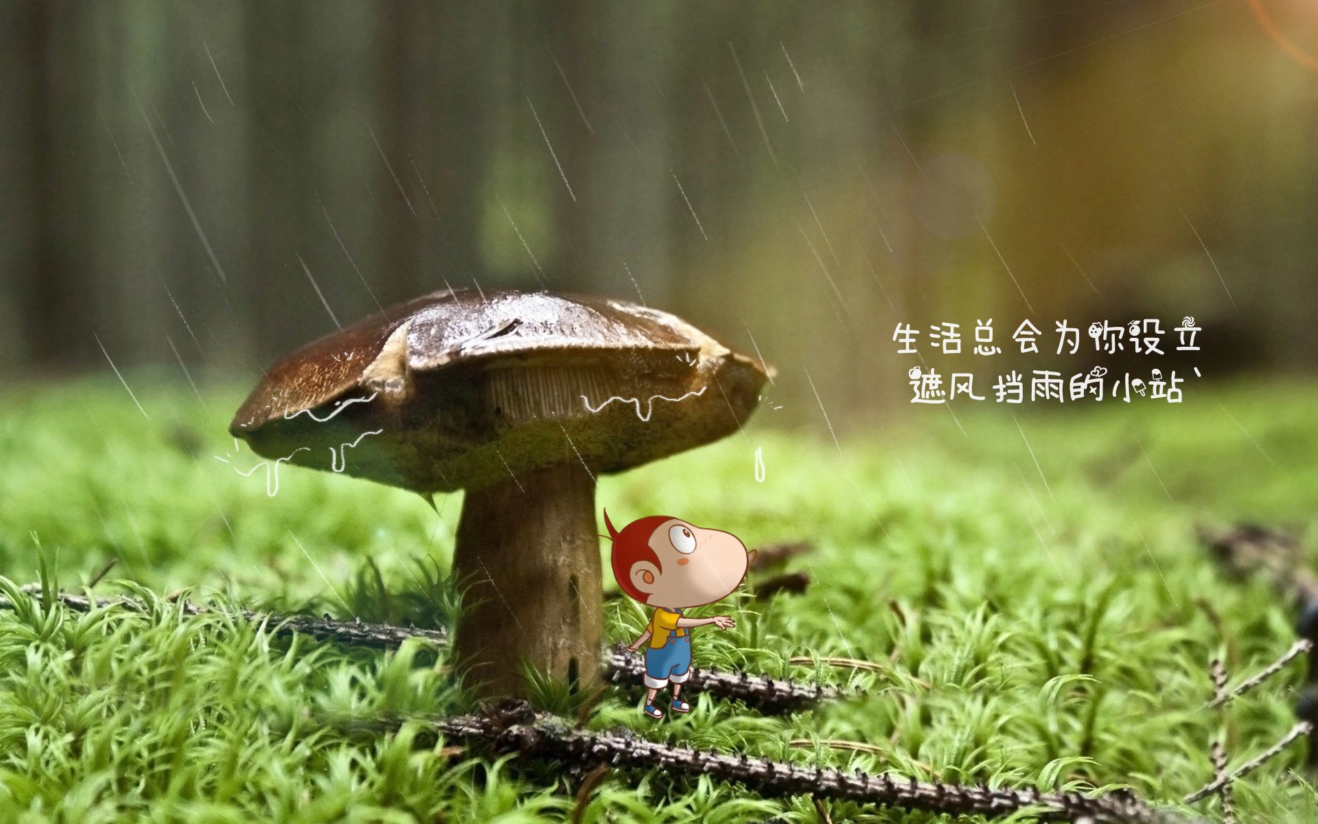 以下是为您构思的文章